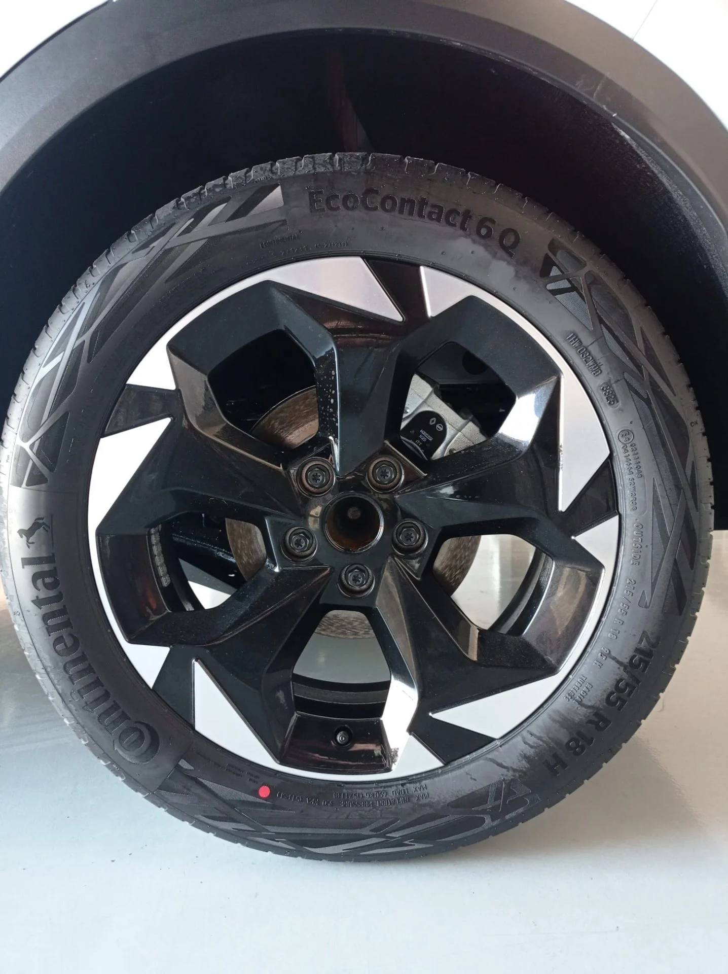 WhatsApp Image 2026-03-13 at 19.16.40 (3)