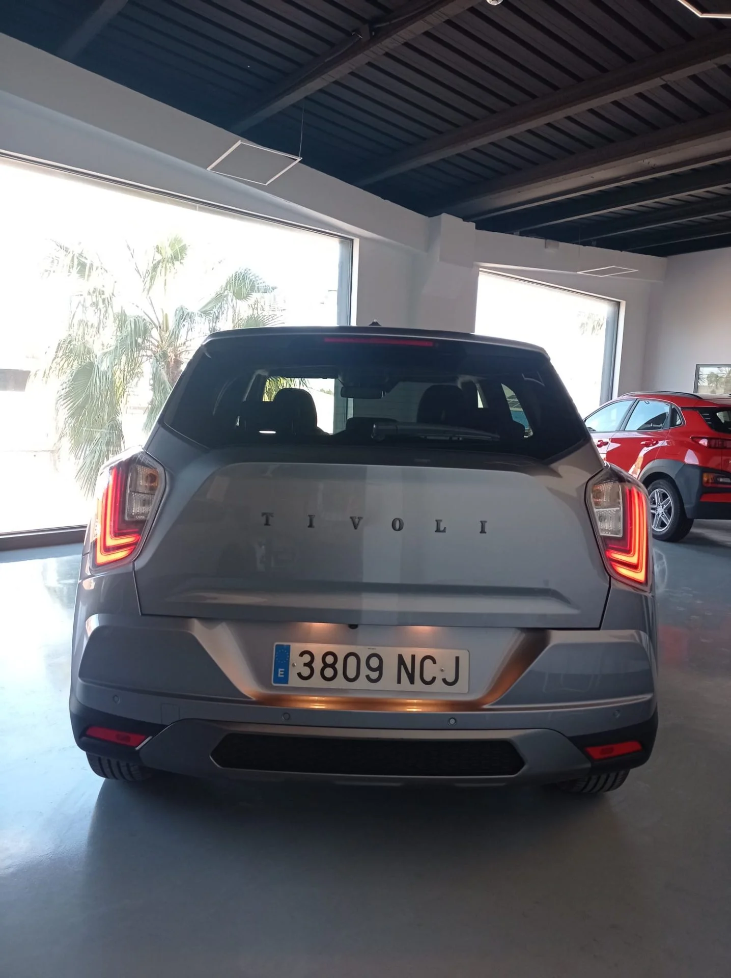 WhatsApp Image 2026-03-13 at 19.16.43